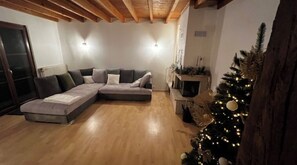 Smart TV, fireplace, books