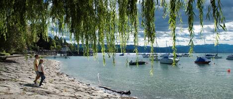 بالقرب من الشاطئ