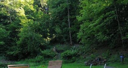 "WALDESRUH "two apartments in one house For 9 people 30km to Heidelberg