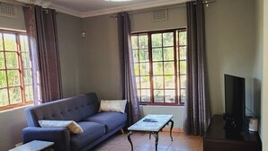 A living room with a sofa, a coffee table, a TV stand, and a patterned rug. - Charming villa with WiFi in Gillitts (Gillitts)