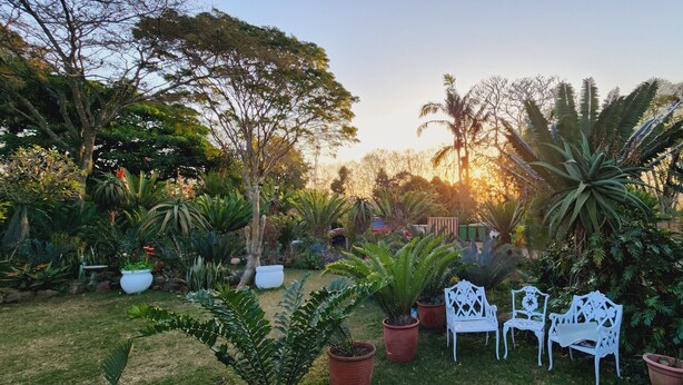 A garden with various potted plants and white outdoor furniture. - Charming villa with WiFi in Gillitts (Gillitts)