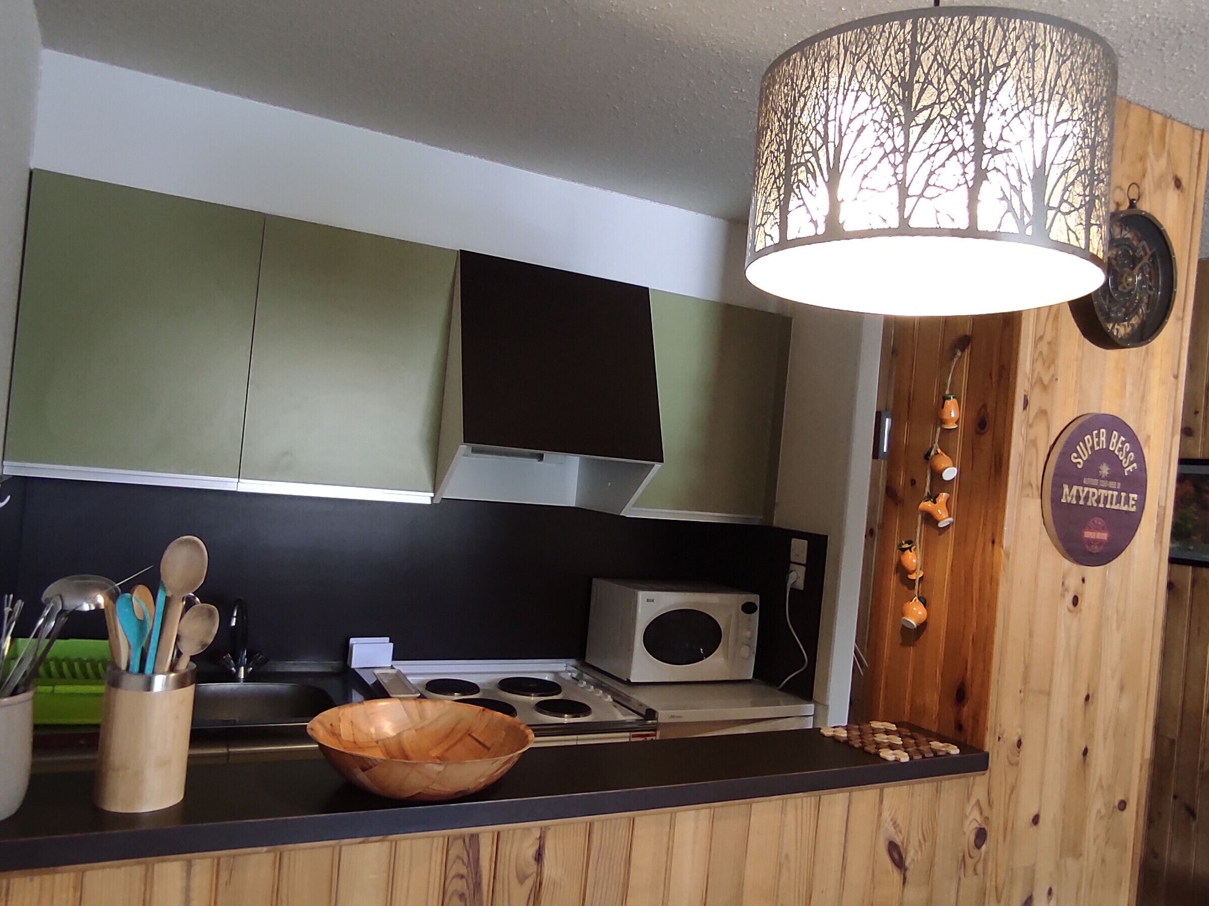 Microwave, oven, stovetop, coffee/tea maker