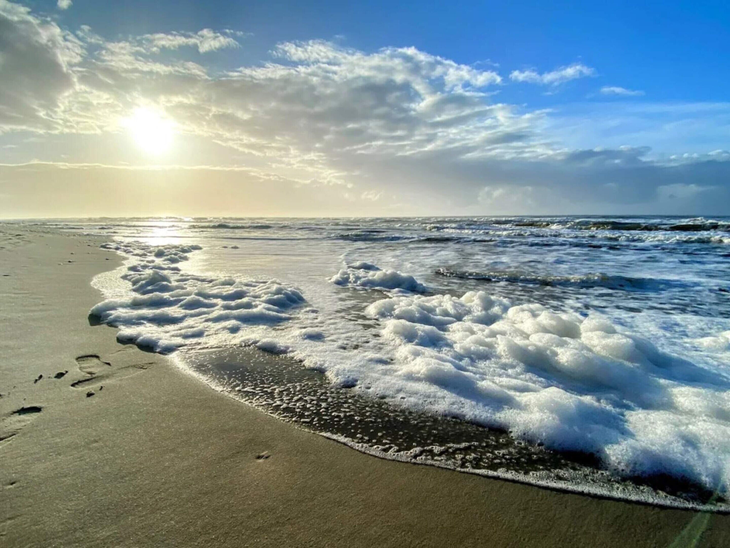 하우스 | 수변 전망