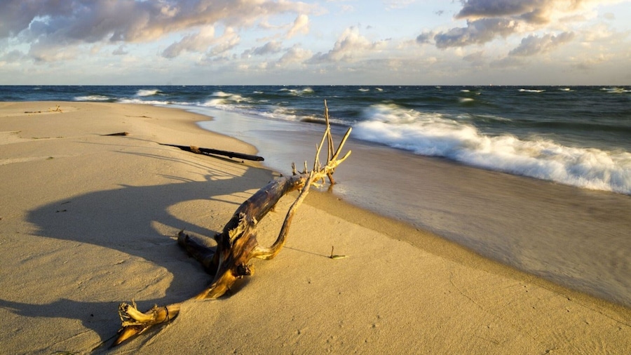 波比耶罗沃附近波罗的海的乡村小屋