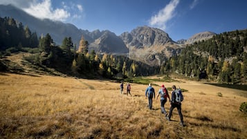 Apartment | Miscellaneous