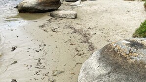 Uma praia arenosa com pedras grandes e um corpo d'água calmo.