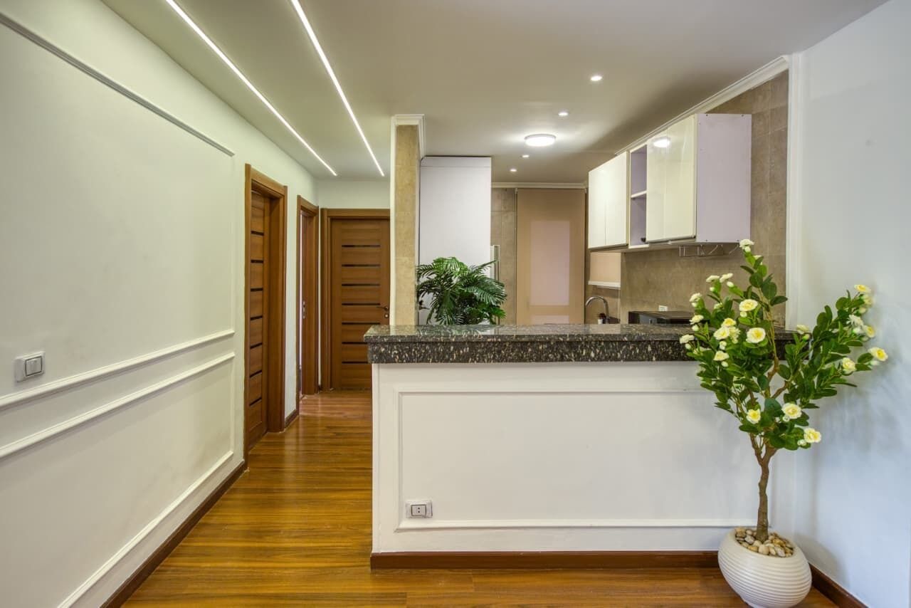 A hallway with wooden flooring, a kitchen area with granite countertops, and a potted plant.