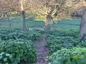 Property grounds - Porcupine Lodge (Cape Town)