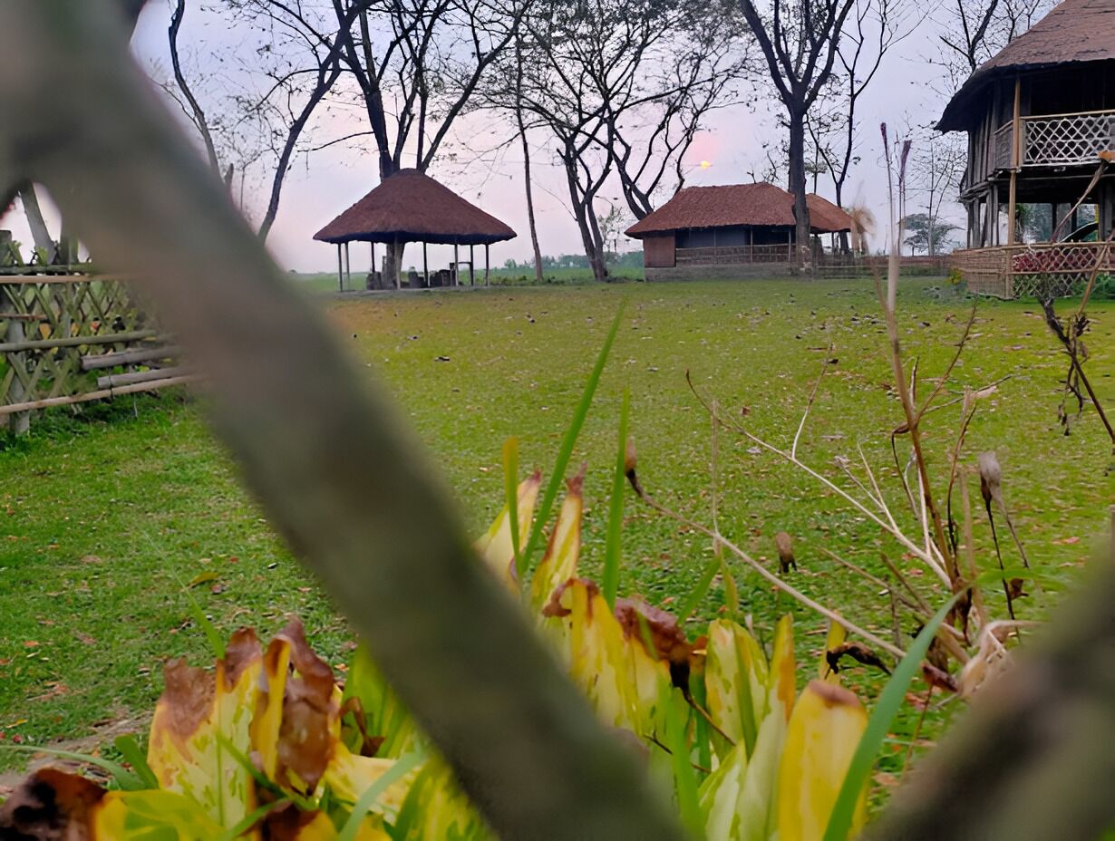 A grassy area with thatched-roof structures and a wooden fence.