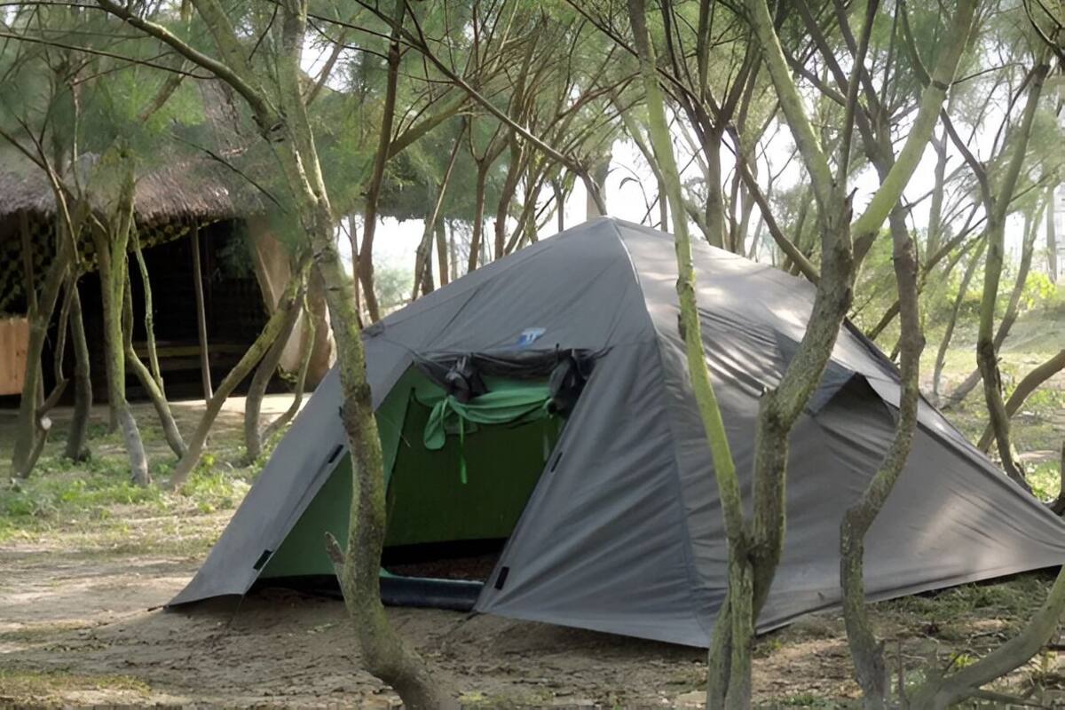 A tent set up in a forested area with trees surrounding it.
