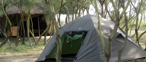 A tent set up in a forested area with trees surrounding it.