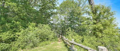 Un sendero para caminatas bordeado por un seto de madera.