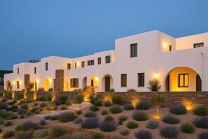 House - Ampelas Nostalgia Escape-poseidon Gem in Paros (Paros)