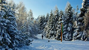 Wintersport/Ski