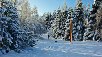 Deportes de invierno y ski