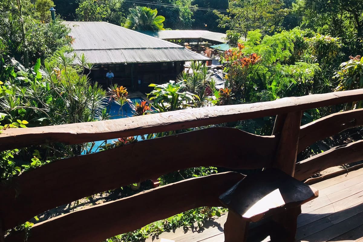 Une terrasse en bois offrant une vue sur un bâtiment et une végétation luxuriante.