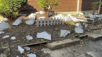 House | Property grounds