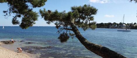 Am Strand