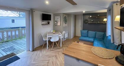 3 bedroom nice home in Lauwersoog