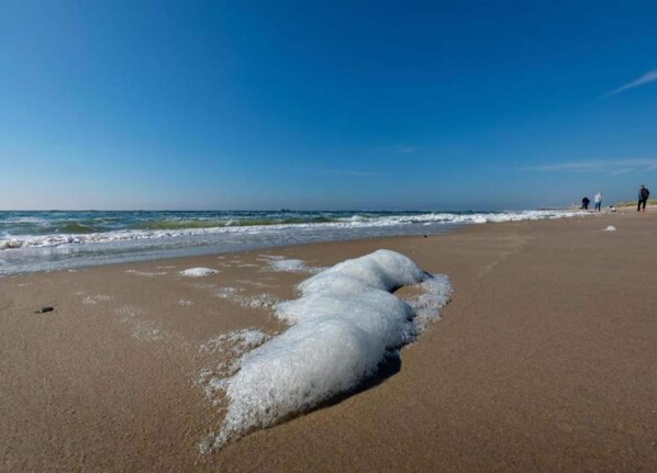 Casa | Vista desde la propiedad
