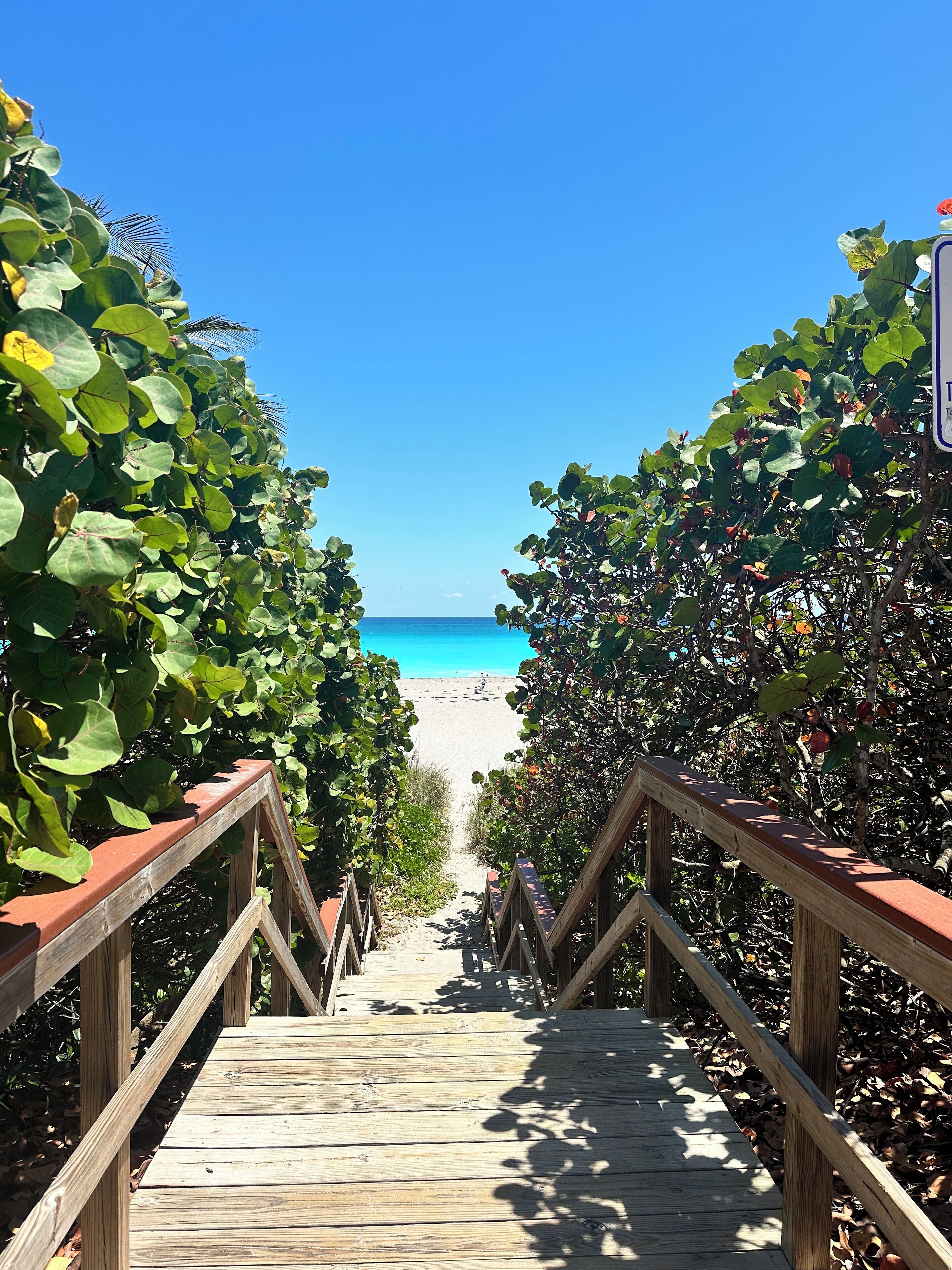 Playa en los alrededores, camastros y toallas de playa 