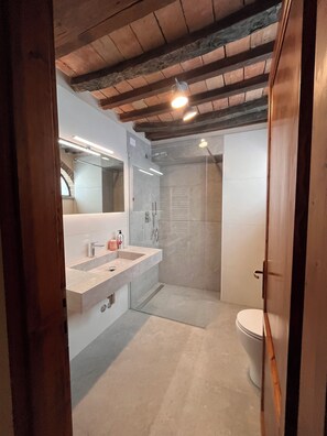 Shower, eco-friendly toiletries, hair dryer, bidet - Bellissimo Casale Toscano con piscina privata e connessione wireless  (Toscana)