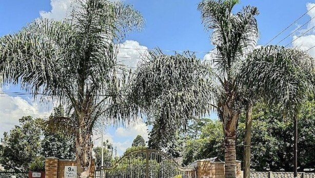Una entrada protegida con palmeras y un muro de ladrillo, que conduce a un camino pavimentado.