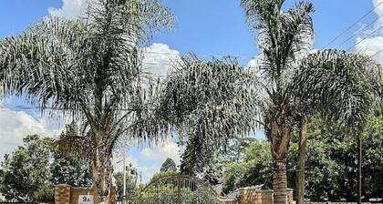 Savanna68 3Bed Apartment#3