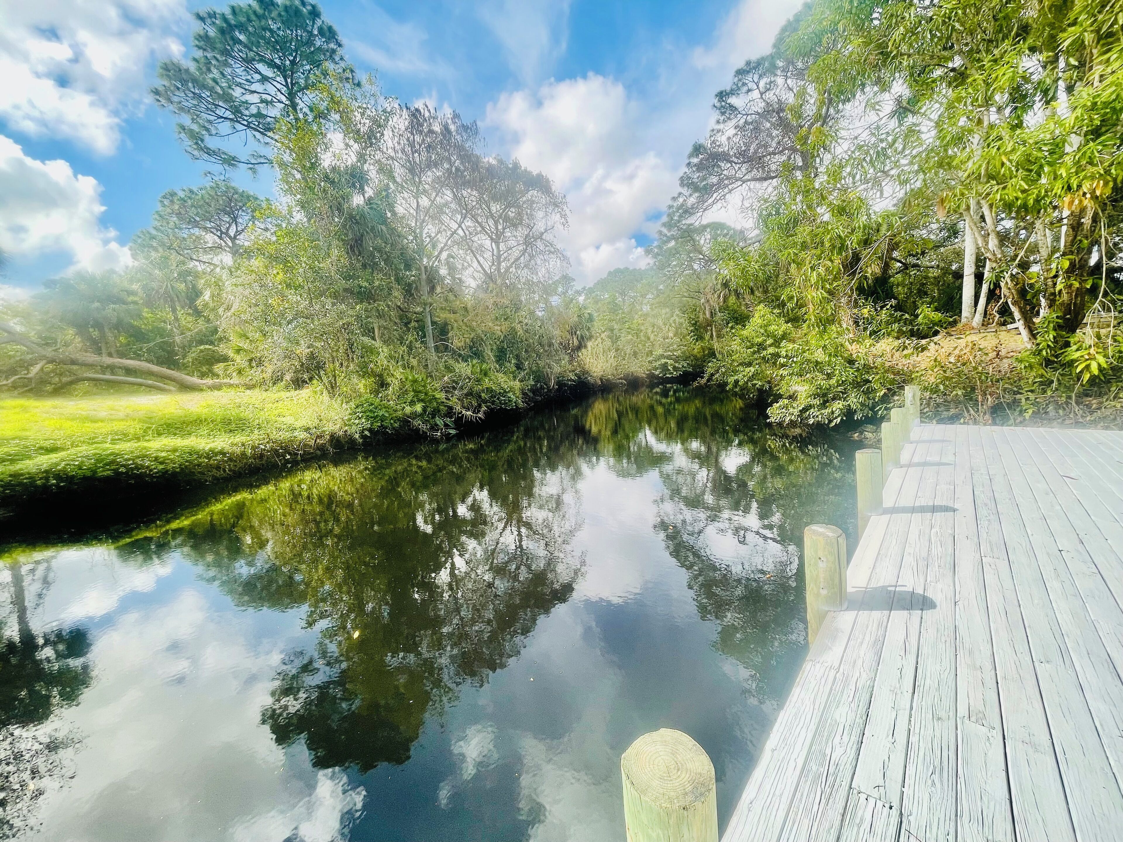 Ein ruhiger Fluss mit einer hölzernen Anlegestelle, die ins Wasser hineinreicht.