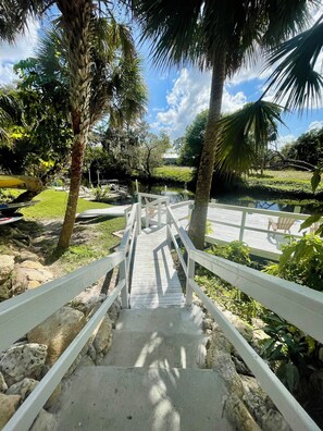 Un escalier en bois mène à une jetée qui surplombe une étendue d’eau, le tout étant entouré de palmiers et de verdure.