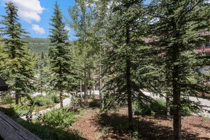 Studio | Property grounds - 1106 - Studio Standard Eagle Springs West Studio (Solitude)