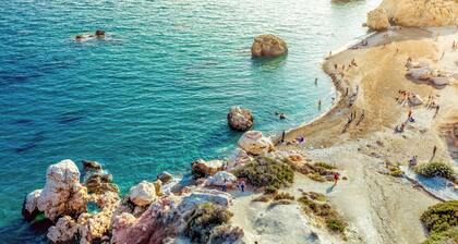 Sanders Eduardovich Limassol