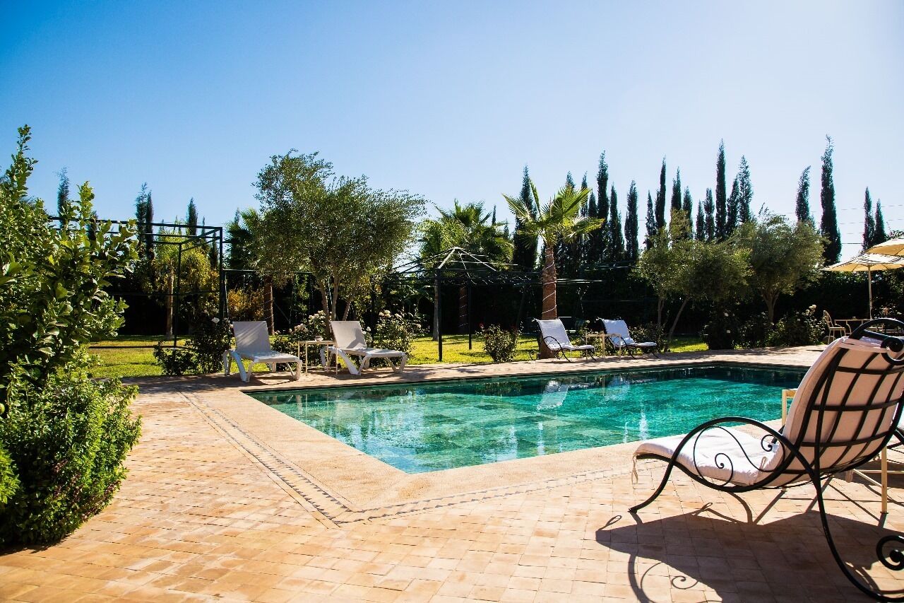 A swimming pool with lounge chairs, surrounded by greenery and tall trees.