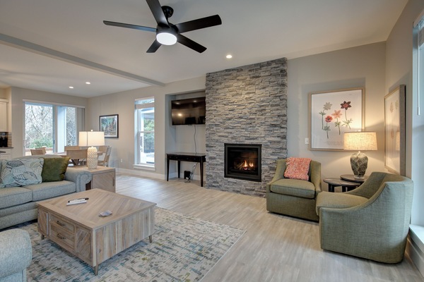 TV, fireplace