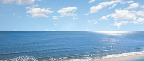 在海滩