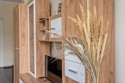 Grizinkalns studio apartment with free parking