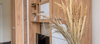 Grizinkalns studio apartment with free parking