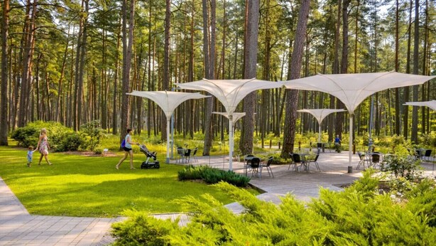 Zona patio all'aperto con sedute e ombrelloni, circondata da vegetazione lussureggiante e alberi alti.