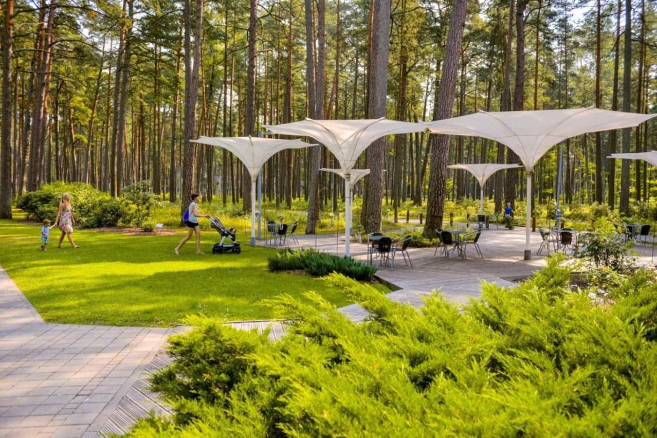 Un espace extérieur aménagé en terrasse, avec des sièges et des parasols, entouré d’une végétation luxuriante et de grands arbres.