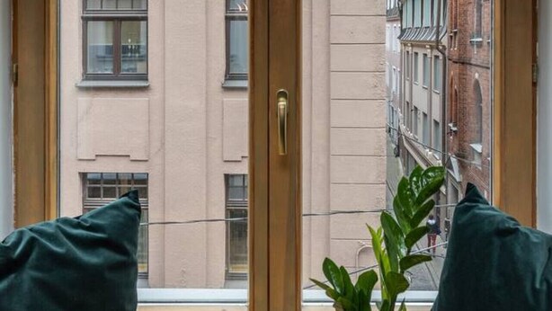 Una habitación con un ventanal grande, dos cojines oscuros y una planta en maceta sobre una mesa de madera.