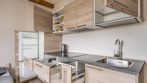 Fridge, microwave, stovetop, cookware/dishes/utensils - Lacplesa loft-style residence (Riga)