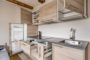 Fridge, microwave, stovetop, cookware/dishes/utensils - Lacplesa loft-style residence (Riga)