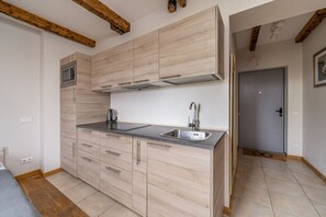 Fridge, microwave, stovetop, cookware/dishes/utensils - Lacplesa loft-style residence (Riga)