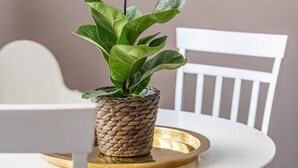 Una mesa de comedor con una maceta tejida y una bandeja dorada.