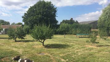 Jardines del alojamiento