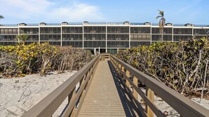 Une promenade en bois mène à un bâtiment moderne doté de grandes fenêtres et d’un toit plat.