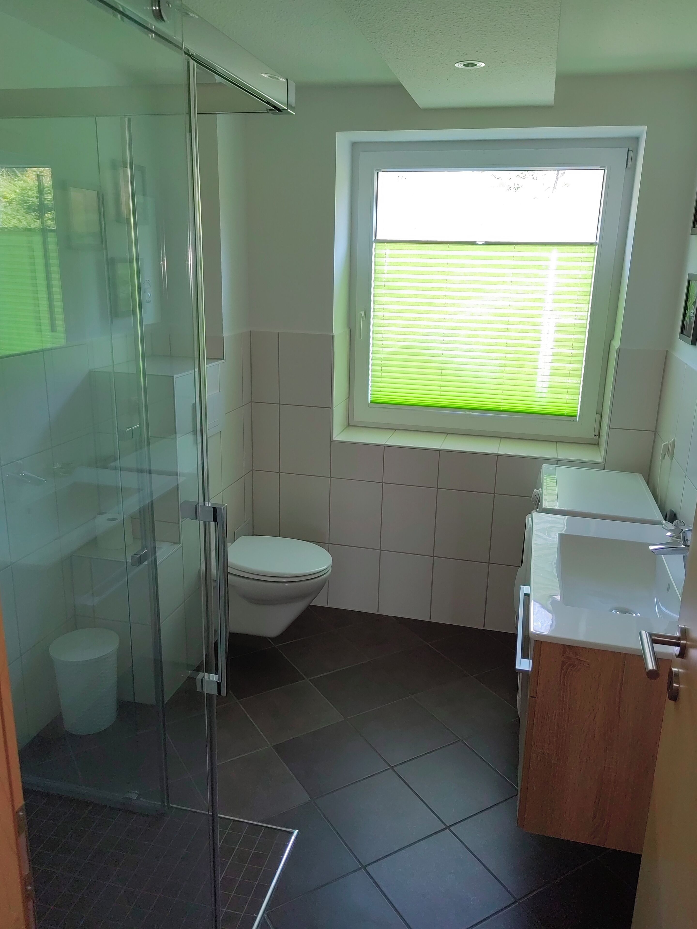 Shower, towels, toilet paper