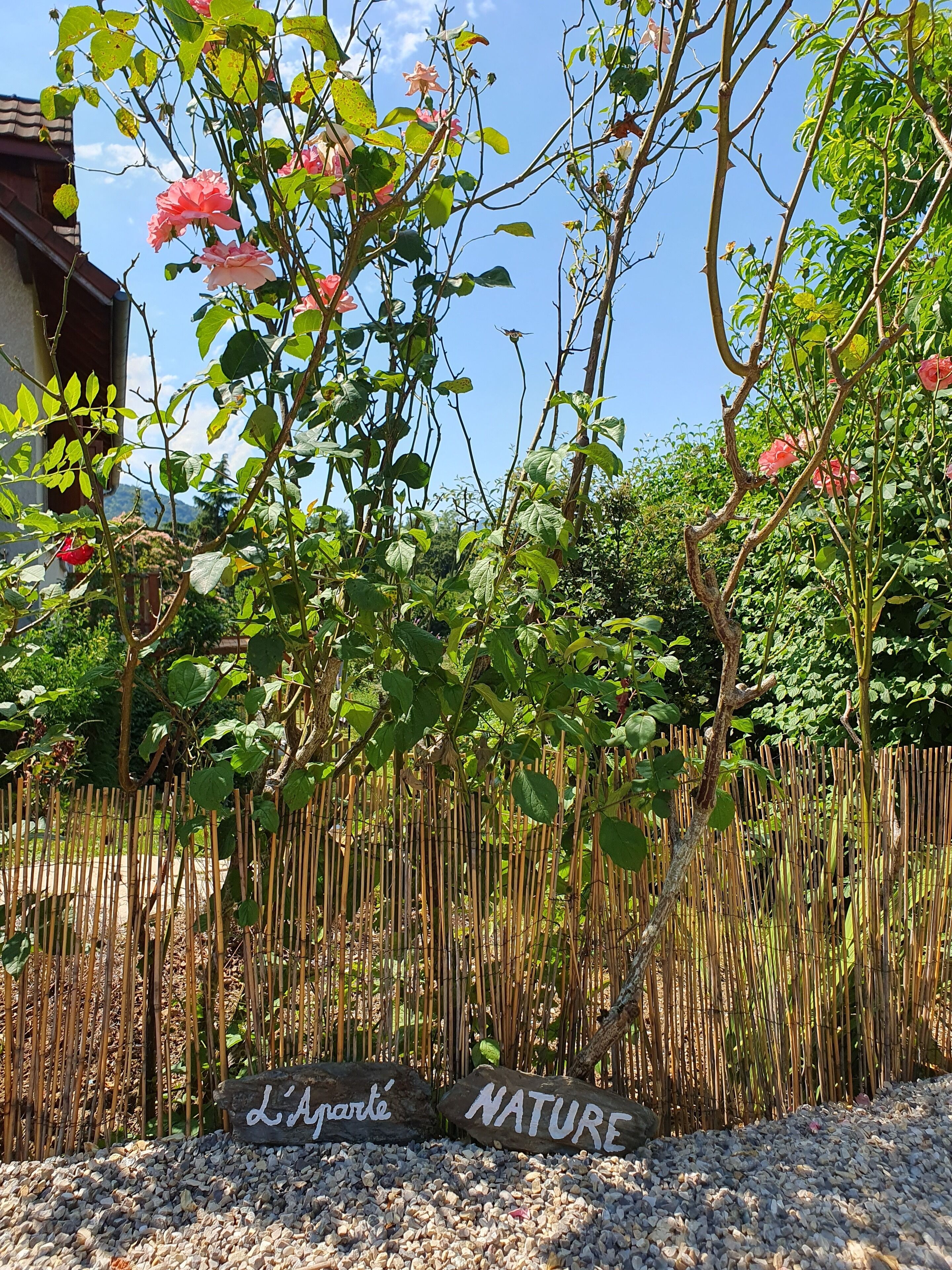 Details aan de buitenkant