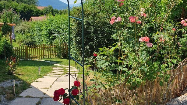 Ein Gartenweg führt zu einem Metallbogen, umgeben von üppigem Grün und blühenden Pflanzen.