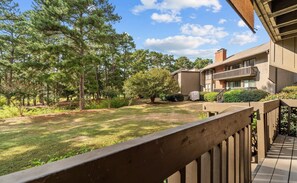 Property grounds - Great golf property - walking distance to Pinehurst Resort  (Pinehurst)